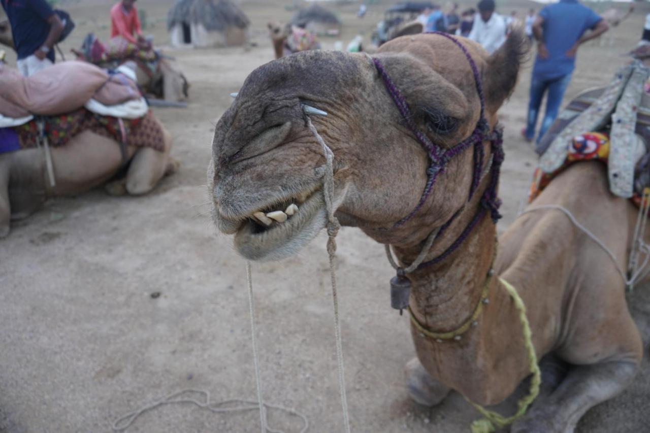 Journey Desert Camp ไจซัลเมอร์ ภายนอก รูปภาพ