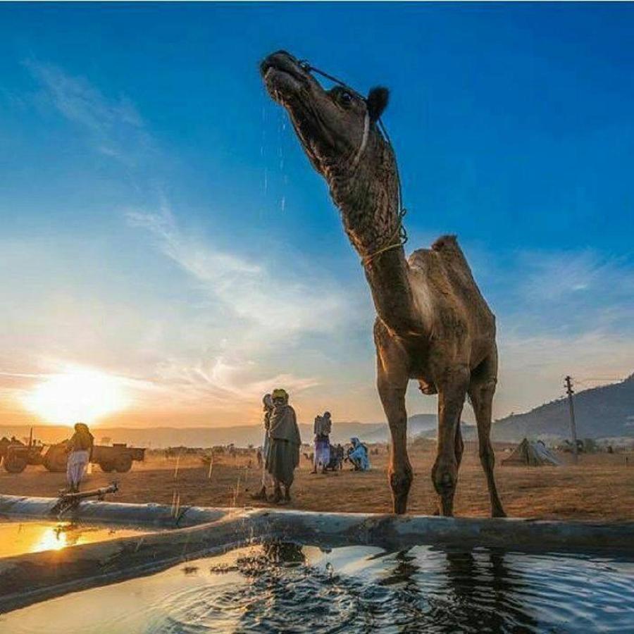 Journey Desert Camp ไจซัลเมอร์ ภายนอก รูปภาพ