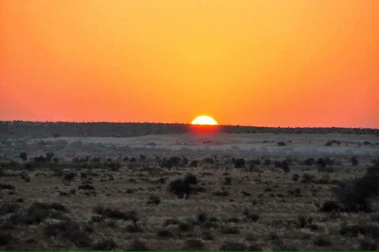 Journey Desert Camp ไจซัลเมอร์ ภายนอก รูปภาพ